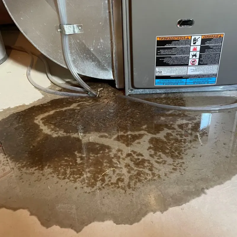 Pipe Burst and Leak Restoration in The Village, OK
