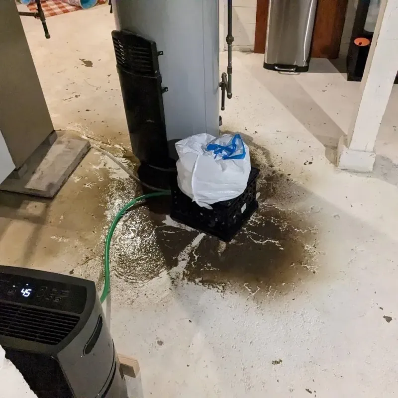 Sewage Backup Cleanup Service in The Village, OK